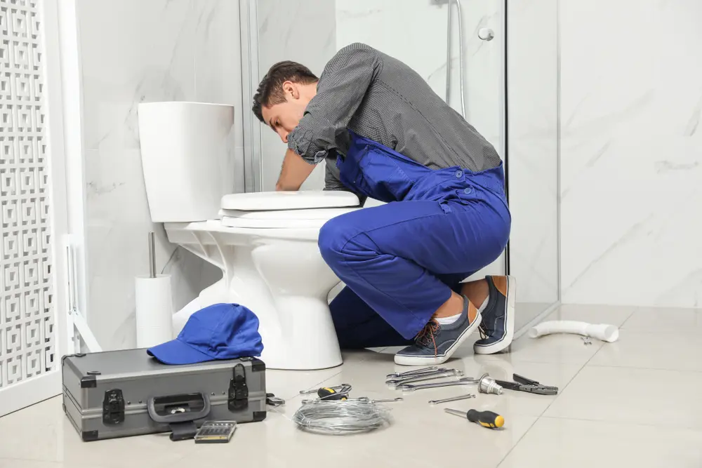 Toilet Repair in Hutton